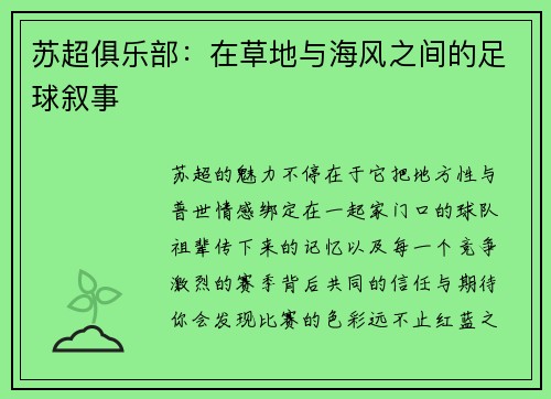 苏超俱乐部：在草地与海风之间的足球叙事
