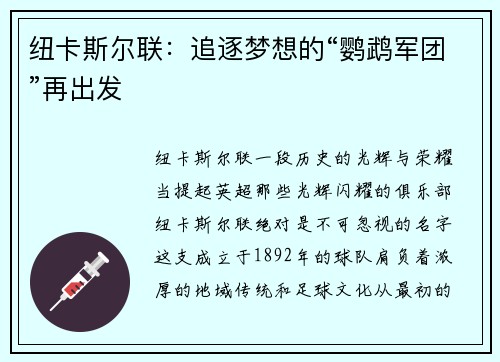 纽卡斯尔联：追逐梦想的“鹦鹉军团”再出发