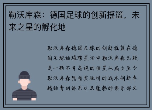勒沃库森：德国足球的创新摇篮，未来之星的孵化地
